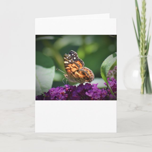 Mariposa, tarjeta (Anverso)