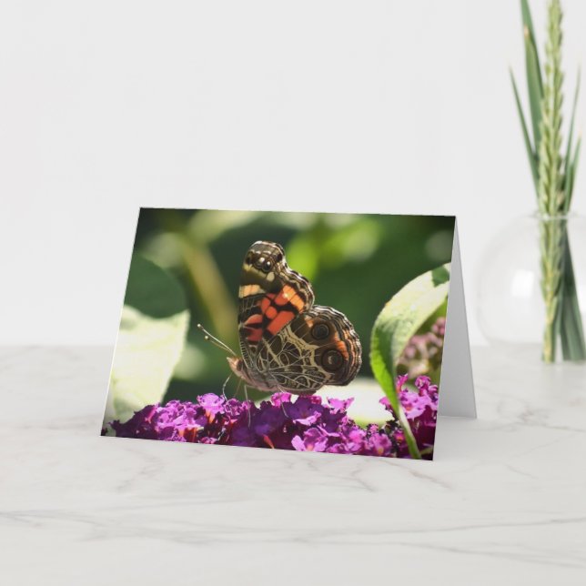 Mariposa, tarjeta (Anverso)