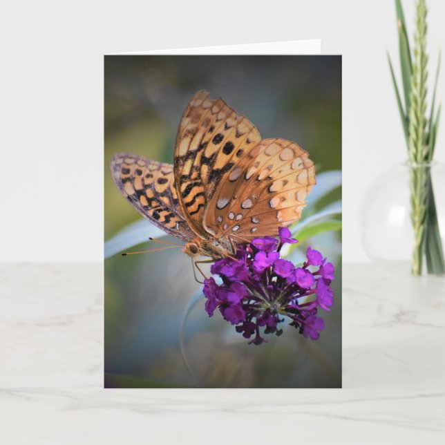 Mariposa, tarjeta (Anverso)