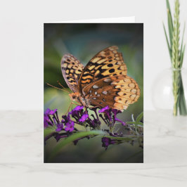 Mariposa, tarjeta