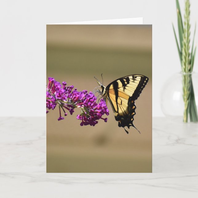 Mariposa, tarjeta (Anverso)