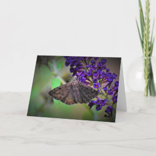Mariposa, tarjeta