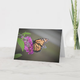 Mariposa, tarjeta