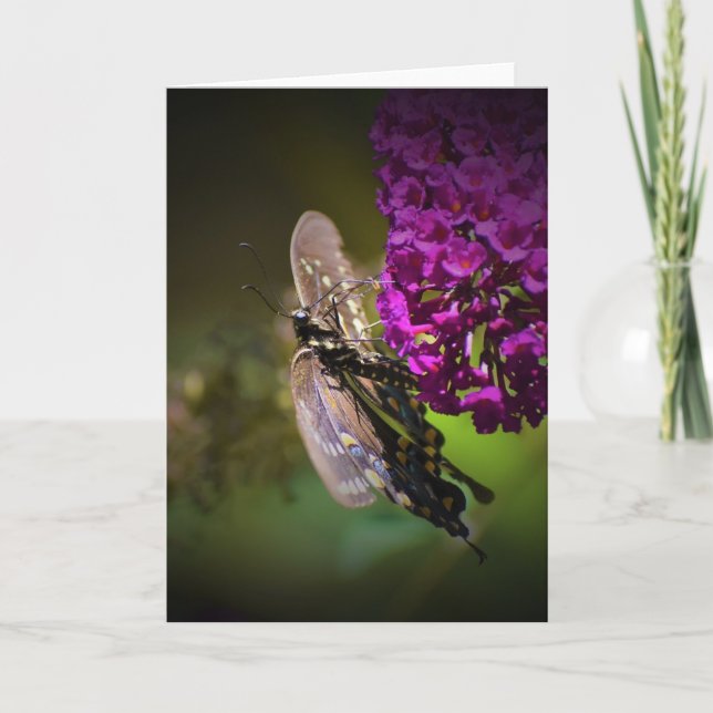 Mariposa, tarjeta (Anverso)