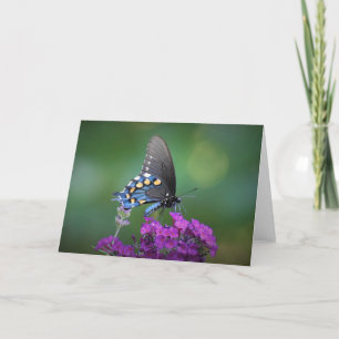 Mariposa, tarjeta