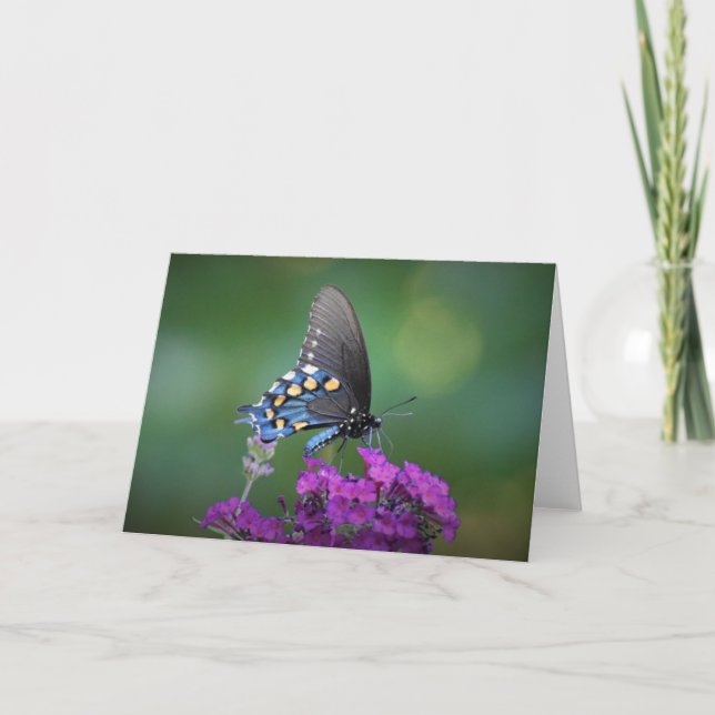 Mariposa, tarjeta (Anverso)