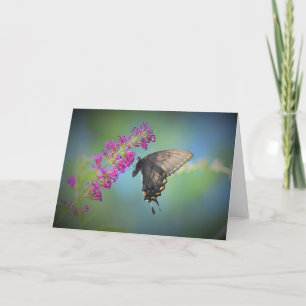 Mariposa, tarjeta