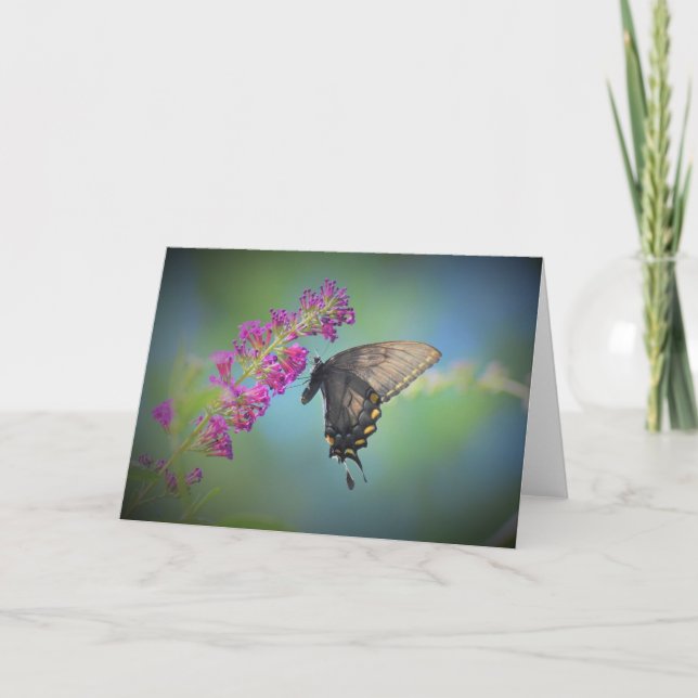 Mariposa, tarjeta (Anverso)