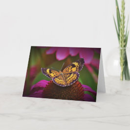 Mariposa, tarjeta