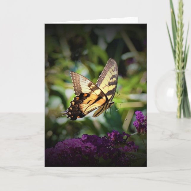 Mariposa, tarjeta (Anverso)