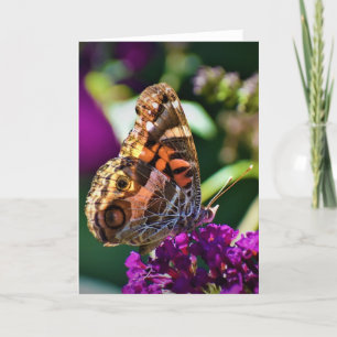 Mariposa, tarjeta