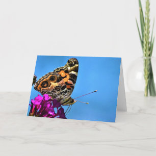 Mariposa, tarjeta