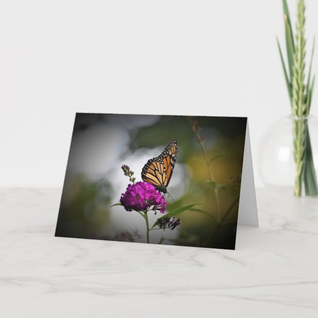 Mariposa, tarjeta (Anverso)