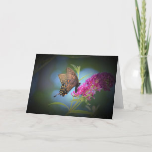 Mariposa, tarjeta