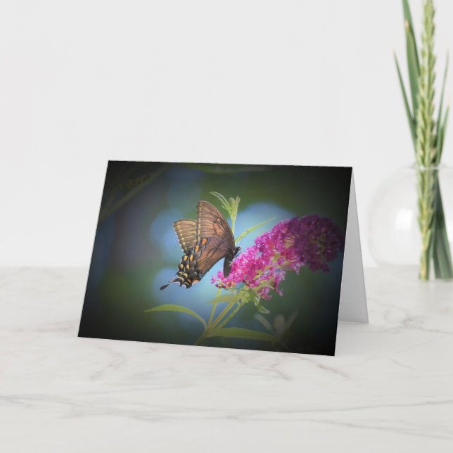 Mariposa, tarjeta (Anverso)
