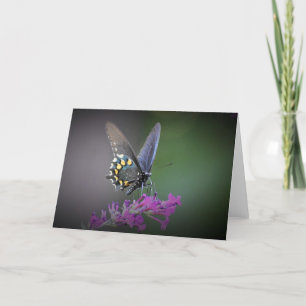 Mariposa, tarjeta
