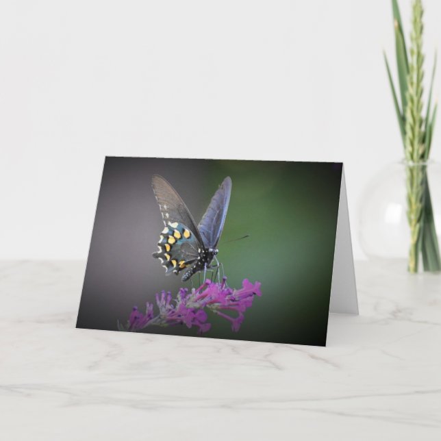 Mariposa, tarjeta (Anverso)