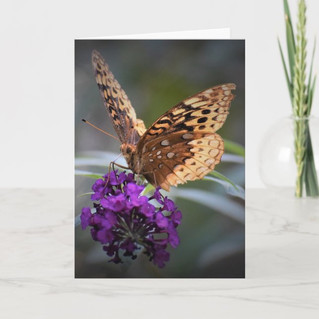 Mariposa, tarjeta (Anverso)