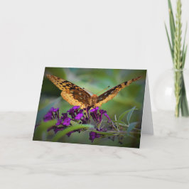 Mariposa, tarjeta