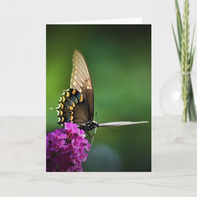 Mariposa, tarjeta (Anverso)