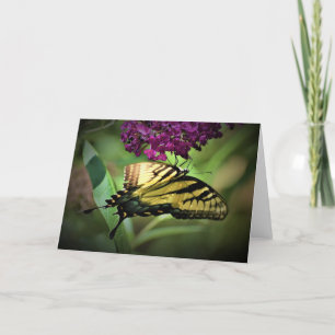 Mariposa, tarjeta