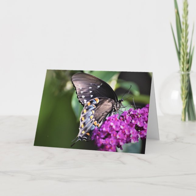 Mariposa, tarjeta (Anverso)