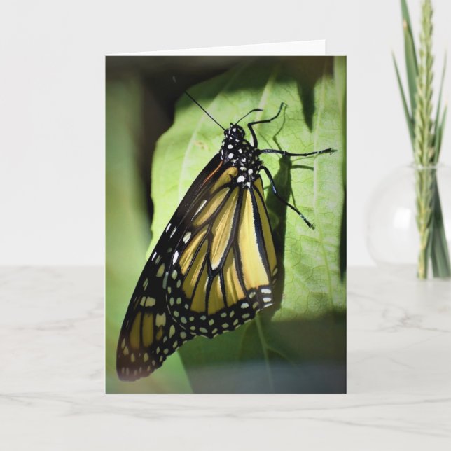 Mariposa, tarjeta (Anverso)