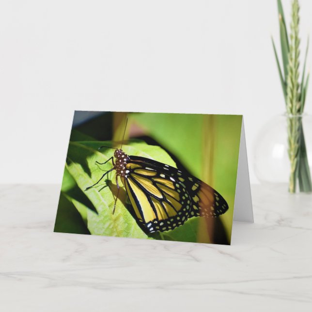 Mariposa, tarjeta (Anverso)