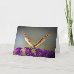Mariposa, tarjeta