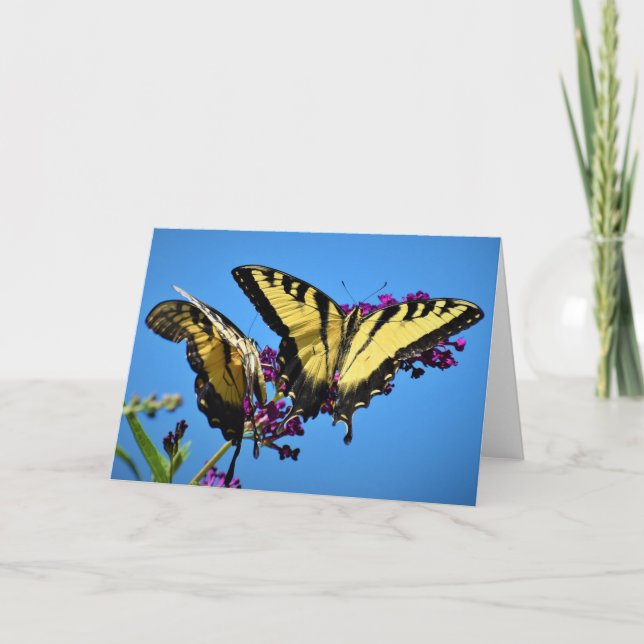 Mariposa, tarjeta (Anverso)