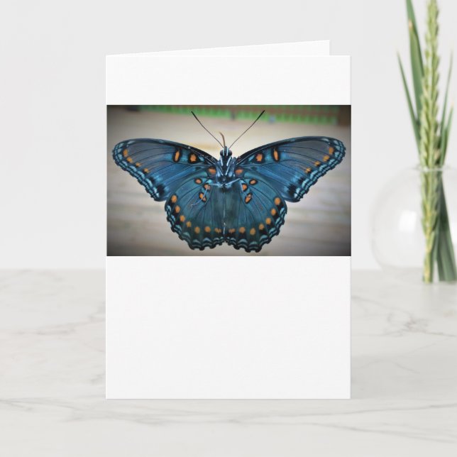 Mariposa, tarjeta (Anverso)