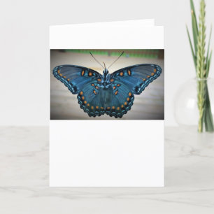 Mariposa, tarjeta