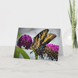 Mariposa, tarjeta