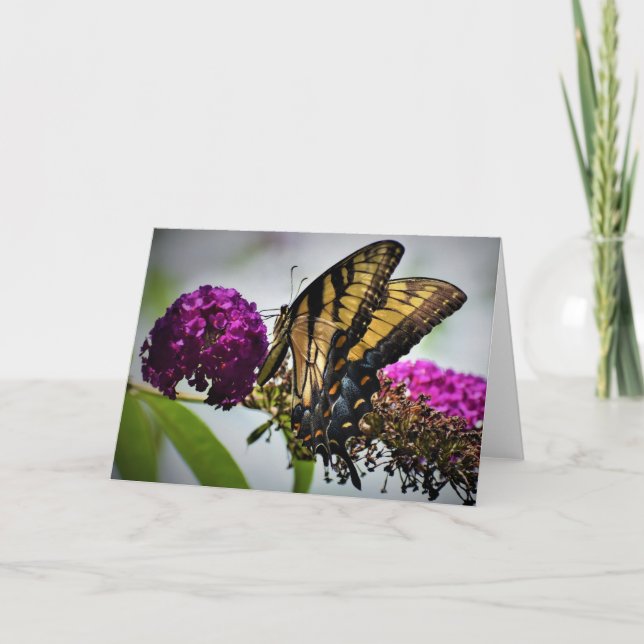 Mariposa, tarjeta (Anverso)