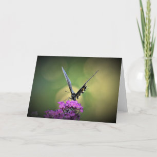 Mariposa, tarjeta