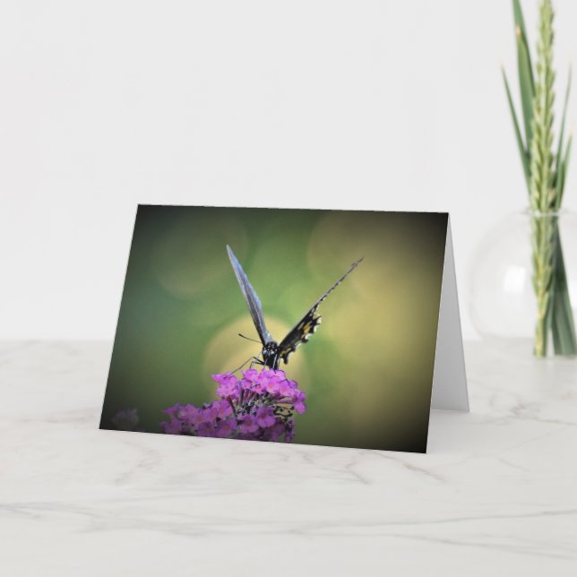 Mariposa, tarjeta (Anverso)