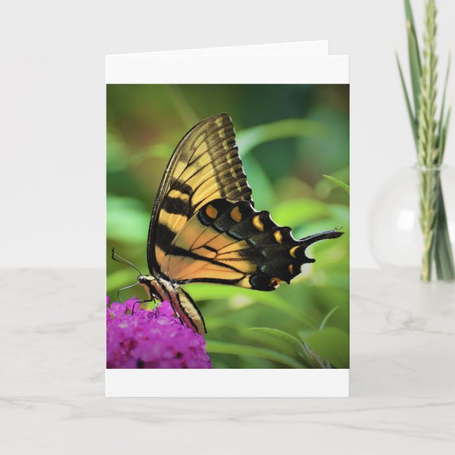 Mariposa, tarjeta (Anverso)