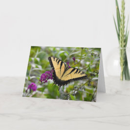 Mariposa, tarjeta