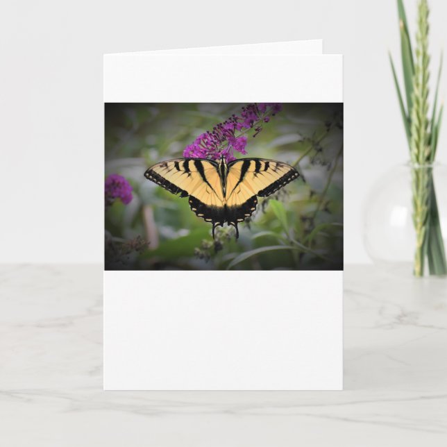 Mariposa, tarjeta (Anverso)