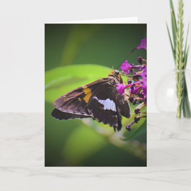 Mariposa, tarjeta (Anverso)