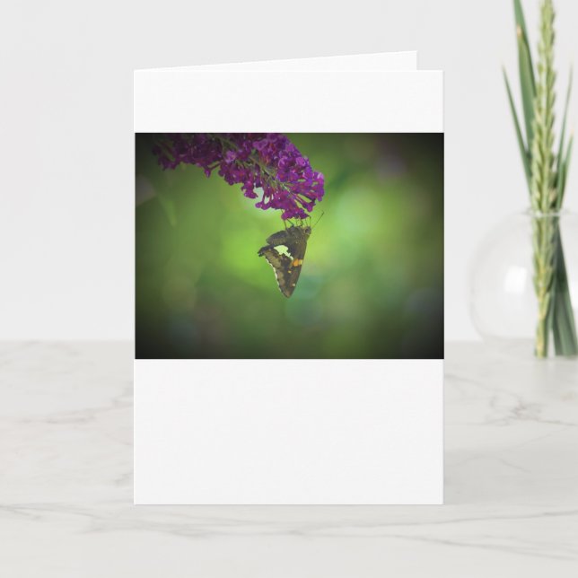 Mariposa, tarjeta (Anverso)