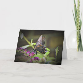 Mariposa, tarjeta