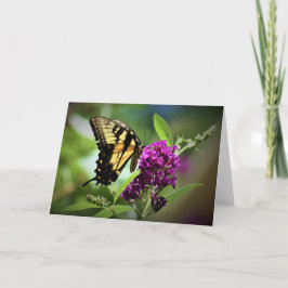 Mariposa, tarjeta
