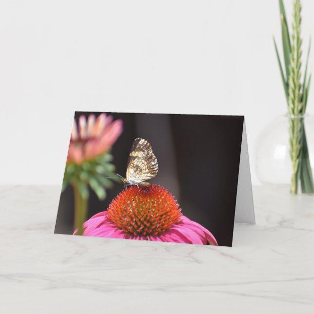 Mariposa, tarjeta (Anverso)