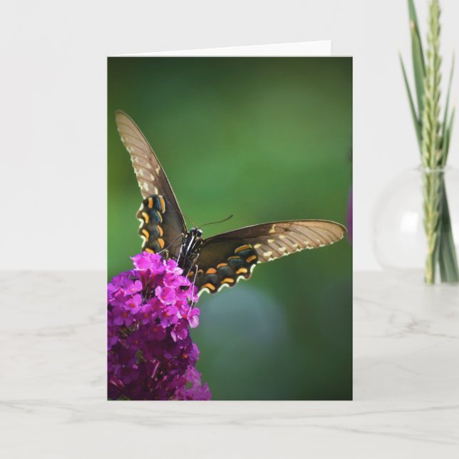 Mariposa, tarjeta (Anverso)