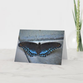 Mariposa, tarjeta