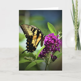 Mariposa, tarjeta