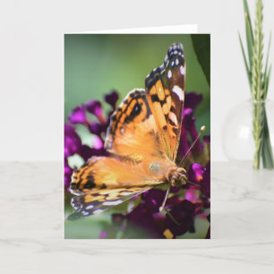 Mariposa, tarjeta