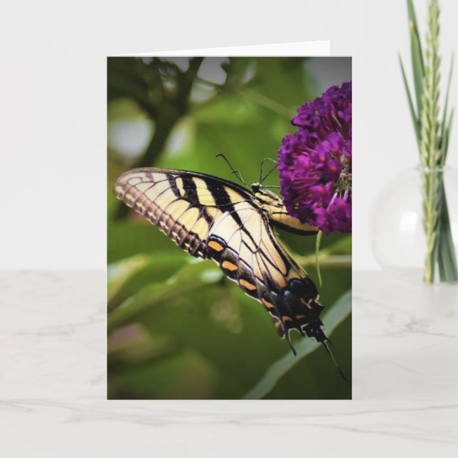 Mariposa, tarjeta (Anverso)