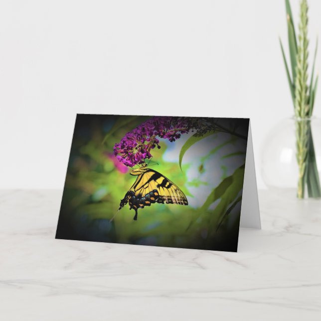 Mariposa, tarjeta (Anverso)